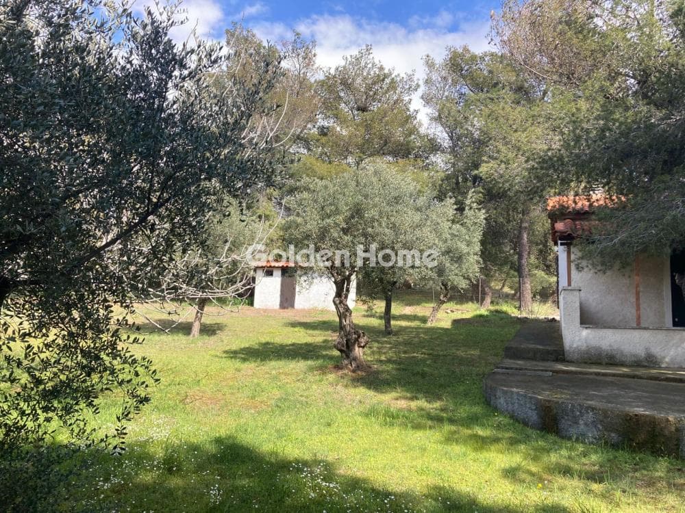 Μονοκατοικία στην Όριο Κηφισιάς, Μελίσσια — Φωτογραφία 2 από 3