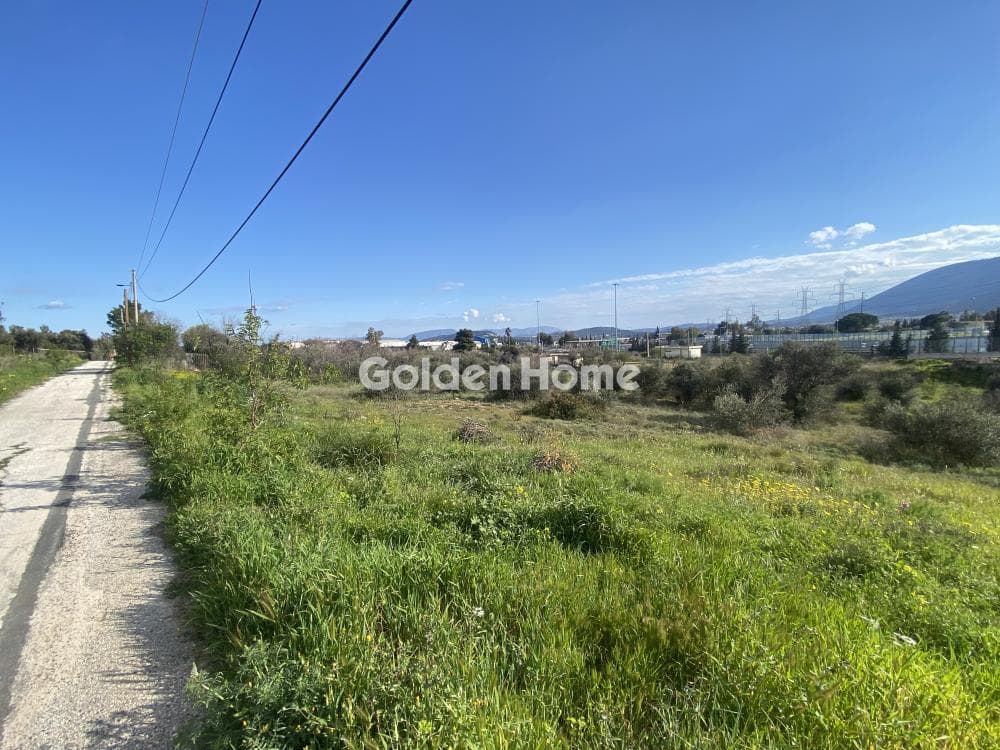 Οικόπεδο στην Ανθούσα, Ανθούσα — Φωτογραφία 1 από 5