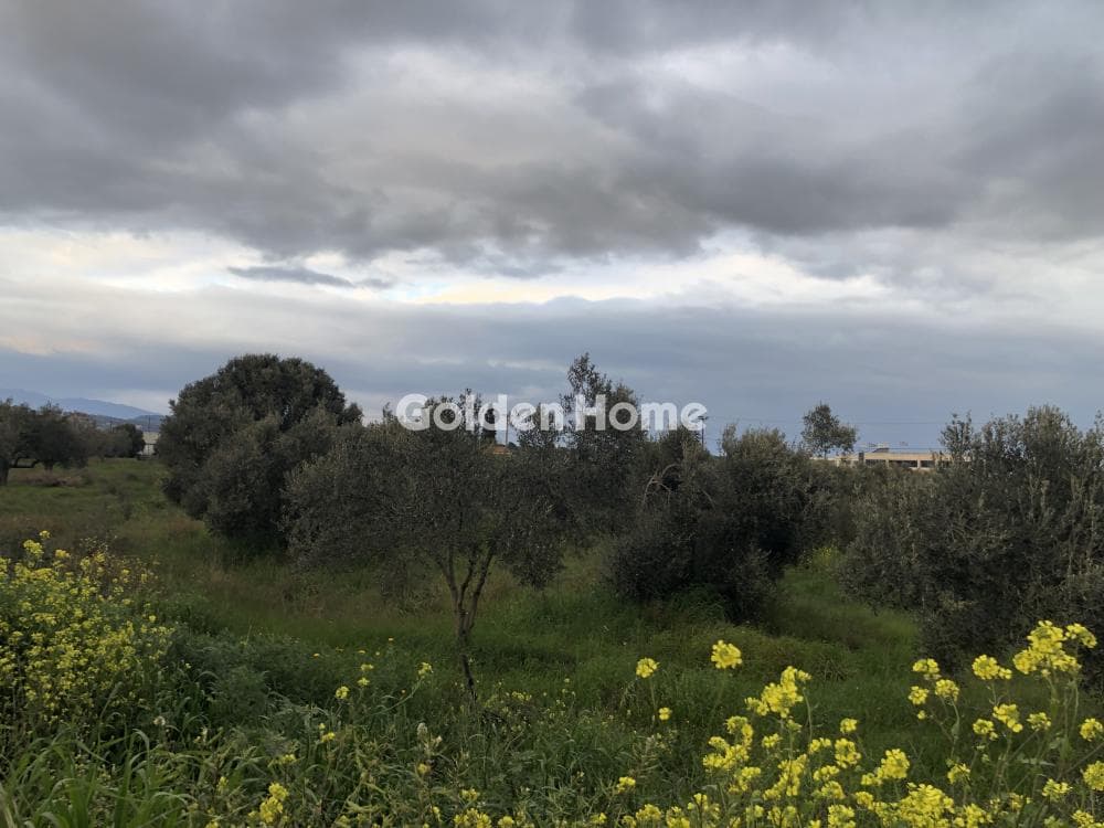 Building Plot in Center, Koropi — Photo 2 of 3
