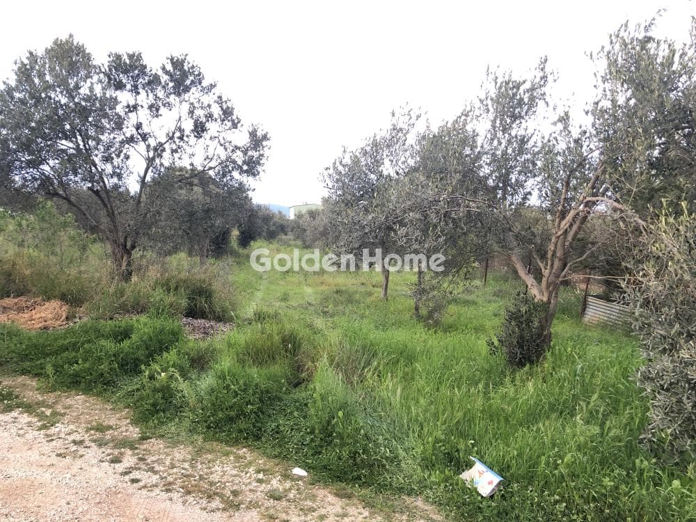 Building Plot in Center, Koropi — Photo 1 of 3