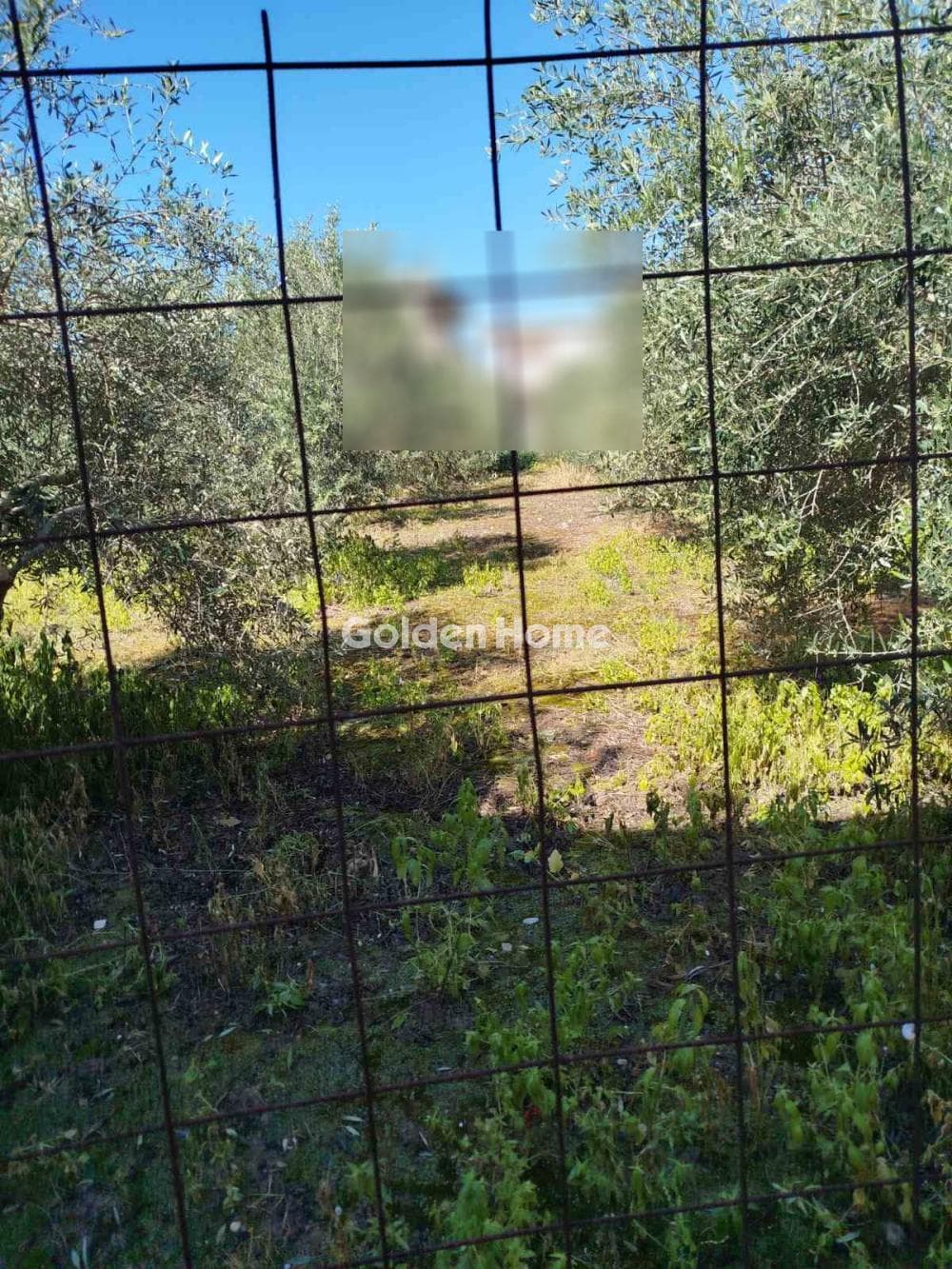 Building Plot in Kappariana, Moires — Photo 1 of 3