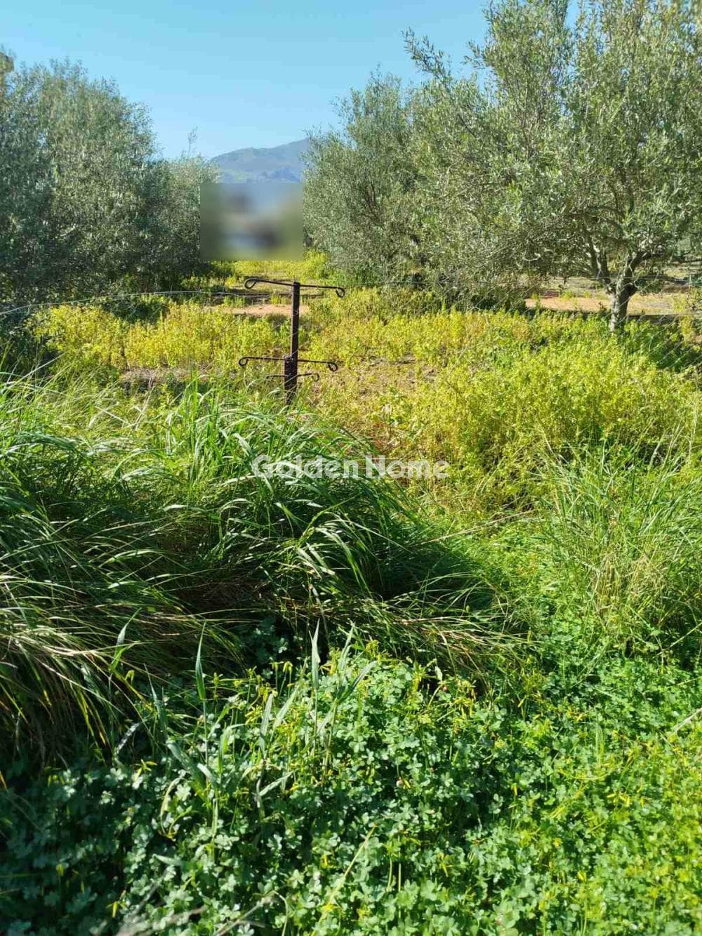Building Plot in Kappariana, Moires — Photo 2 of 3