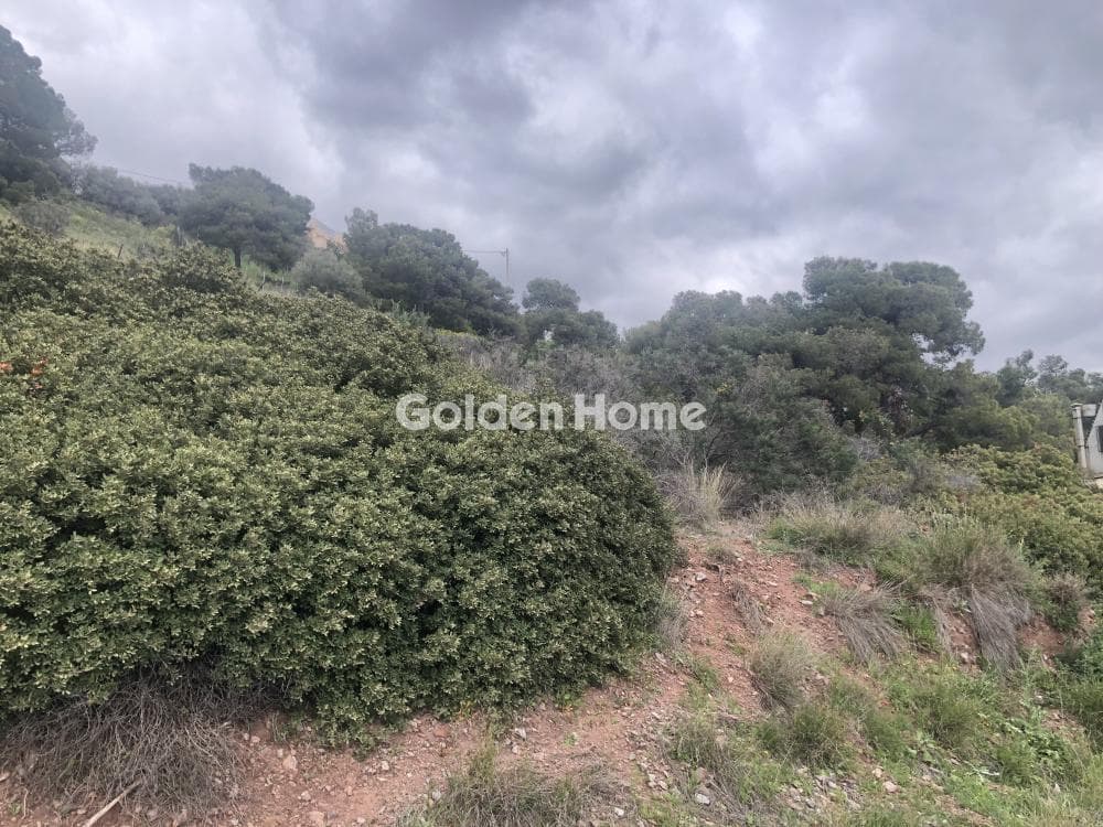 Building Plot in Agia Marina, Koropi — Photo 7 of 8