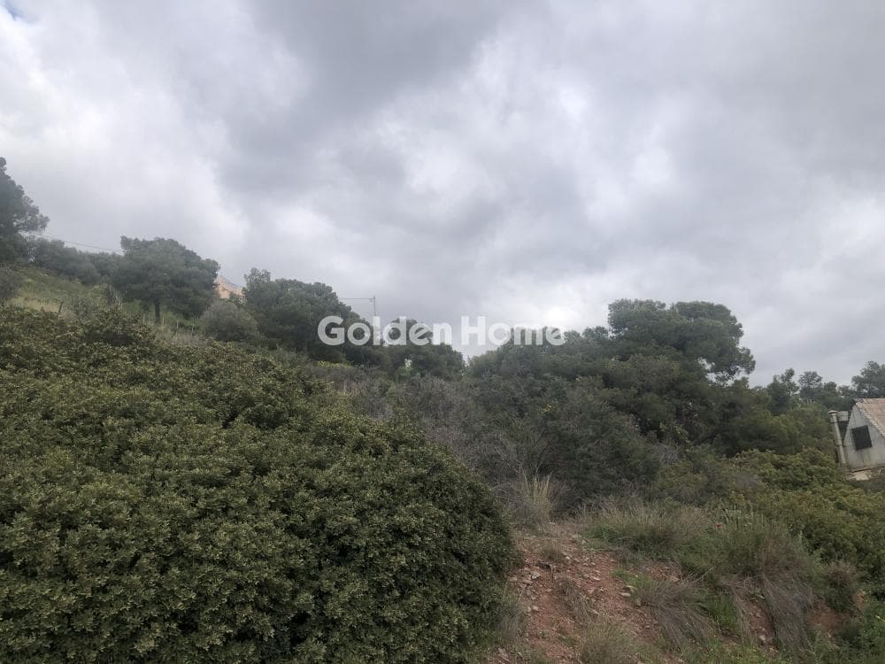Οικόπεδο στην Αγία Μαρίνα, Κορωπί — Φωτογραφία 3 από 5