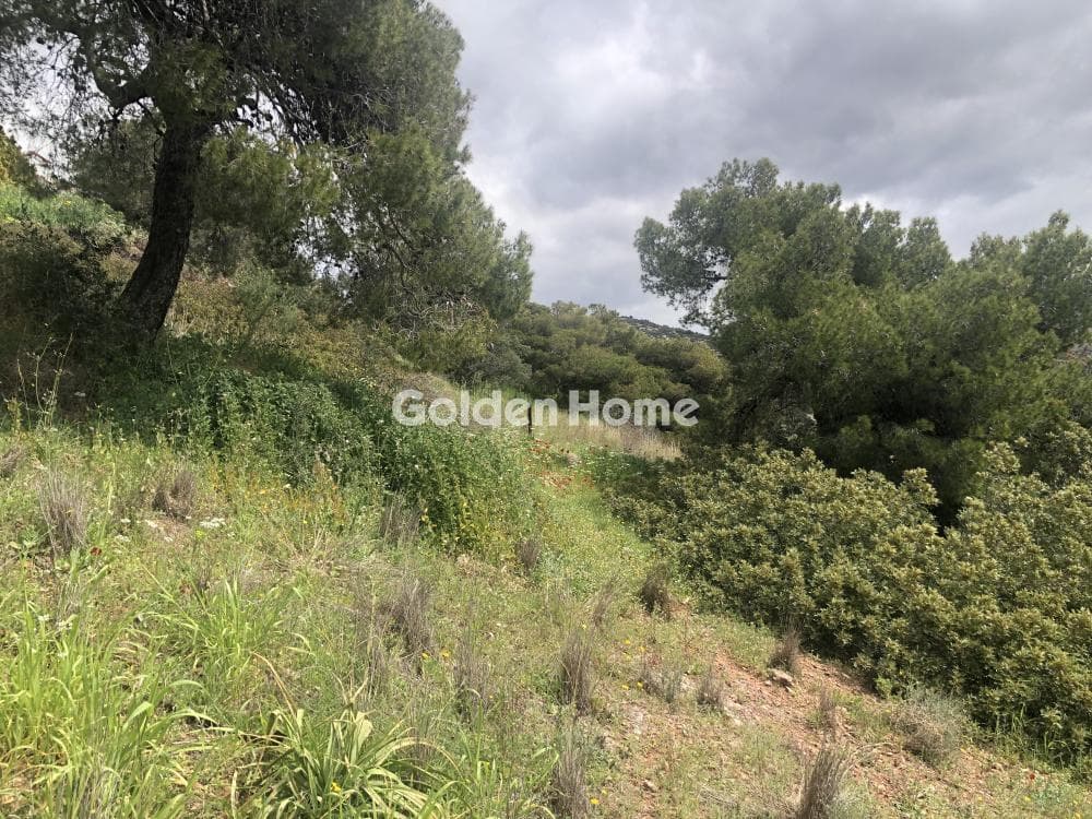 Οικόπεδο στην Αγία Μαρίνα, Κορωπί — Φωτογραφία 5 από 5