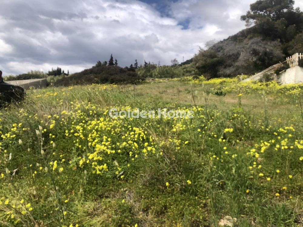 Οικόπεδο στην Αγία Μαρίνα, Κορωπί — Φωτογραφία 3 από 4