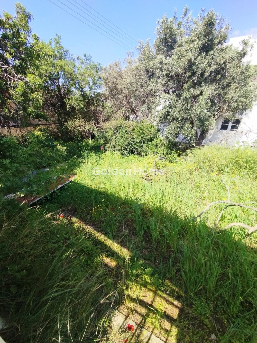 Building Plot in Kalivia, Kalivia Thorikou