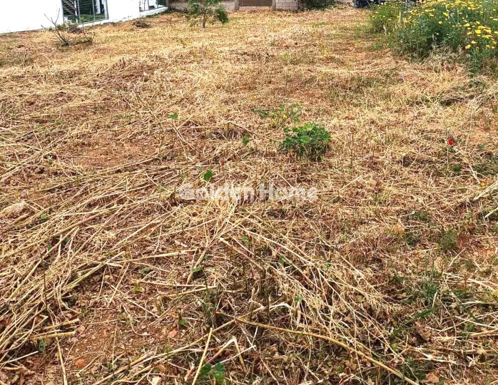 Building Plot in Kakia Thalassa, Keratea — Photo 1 of 4