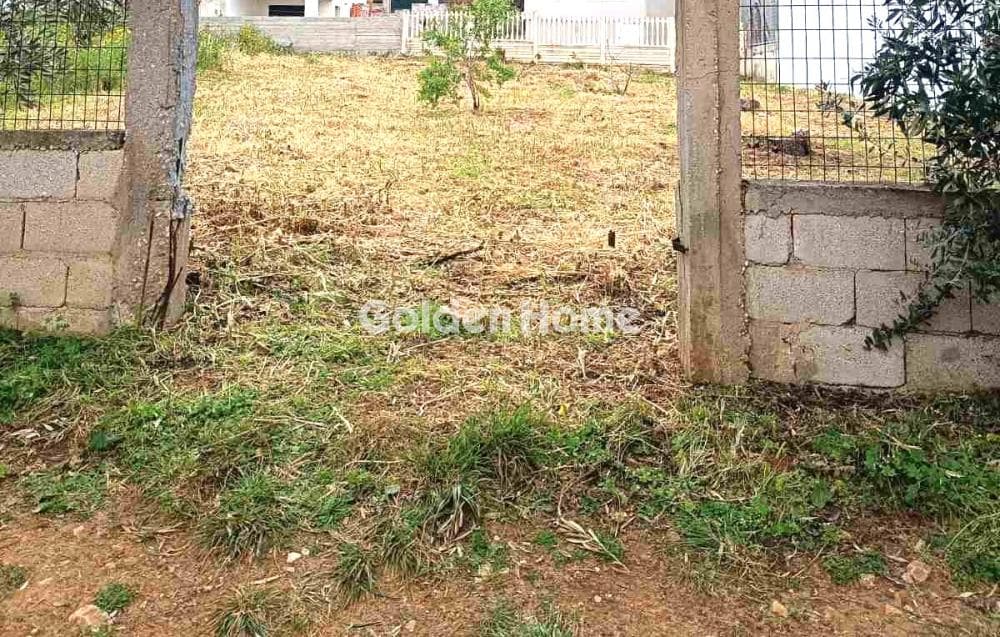 Building Plot in Kakia Thalassa, Keratea — Photo 2 of 4