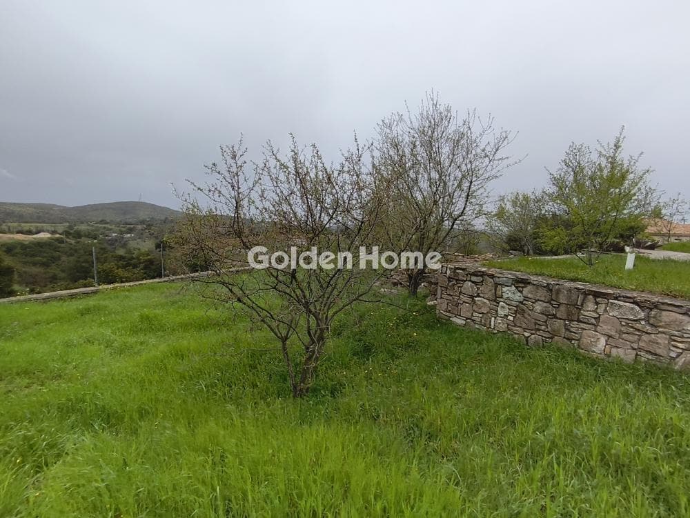 House in Center, Com. Kapandriti — Photo 1 of 20