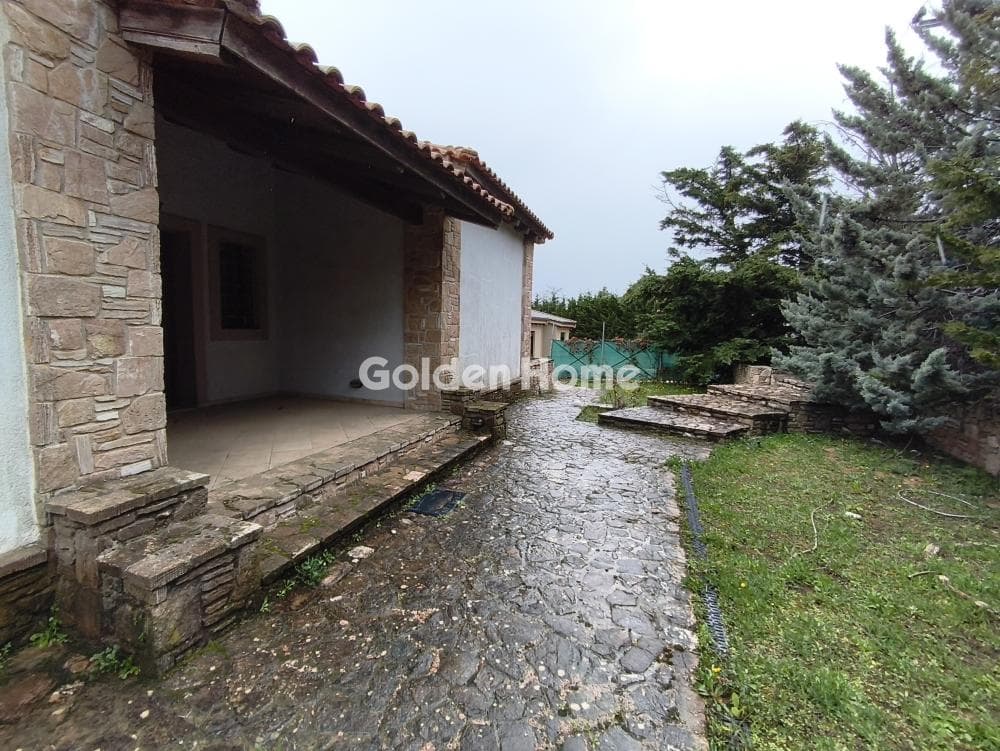 House in Center, Com. Kapandriti — Photo 3 of 20