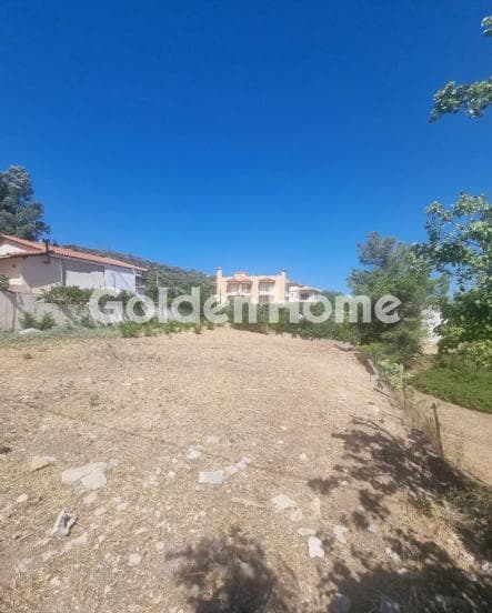 Building Plot in Kalivia, Kalivia Thorikou — Photo 4 of 5