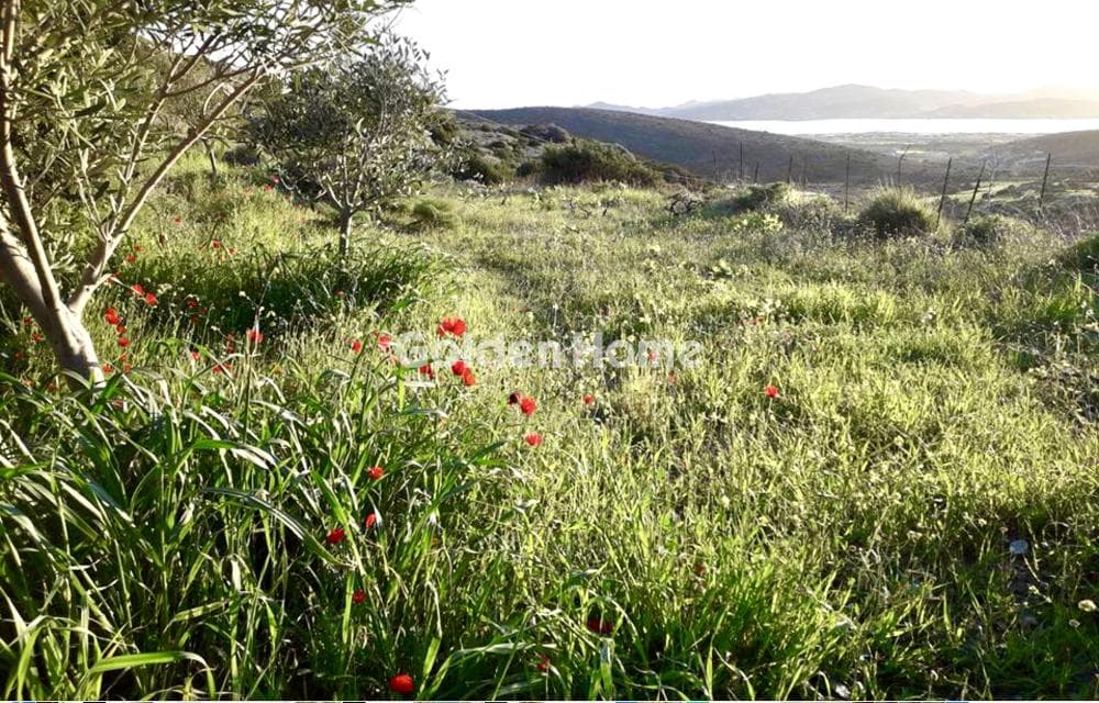 Αγροτεμάχιο στην Ανερατζά, Πάρος — Φωτογραφία 1 από 2