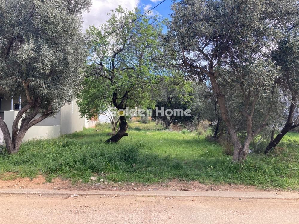 Building Plot in Patima, Chalandri