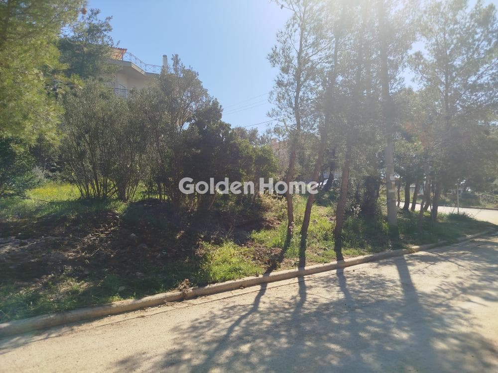 Building Plot in Dioni, Pikermi — Photo 1 of 9
