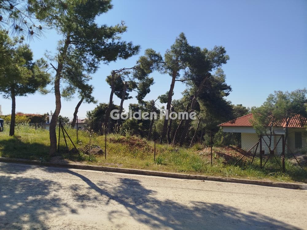 Building Plot in Dioni, Pikermi — Photo 3 of 9