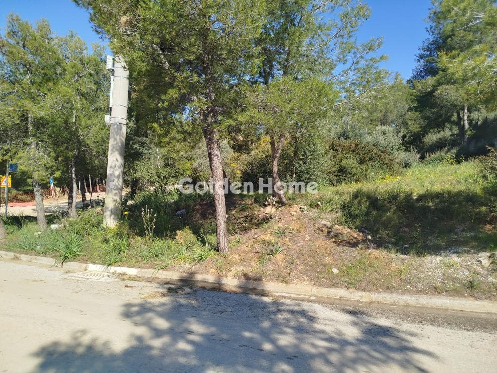 Building Plot in Dioni, Pikermi — Photo 2 of 9