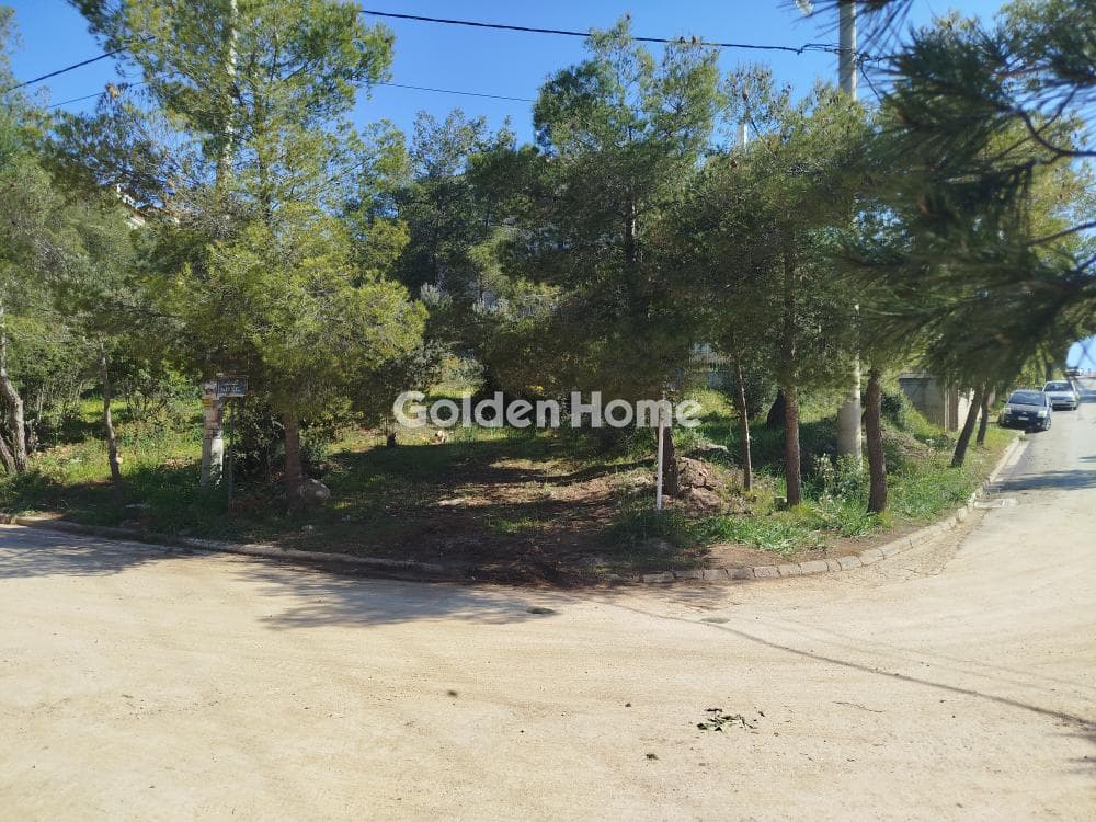 Building Plot in Dioni, Pikermi — Photo 5 of 9