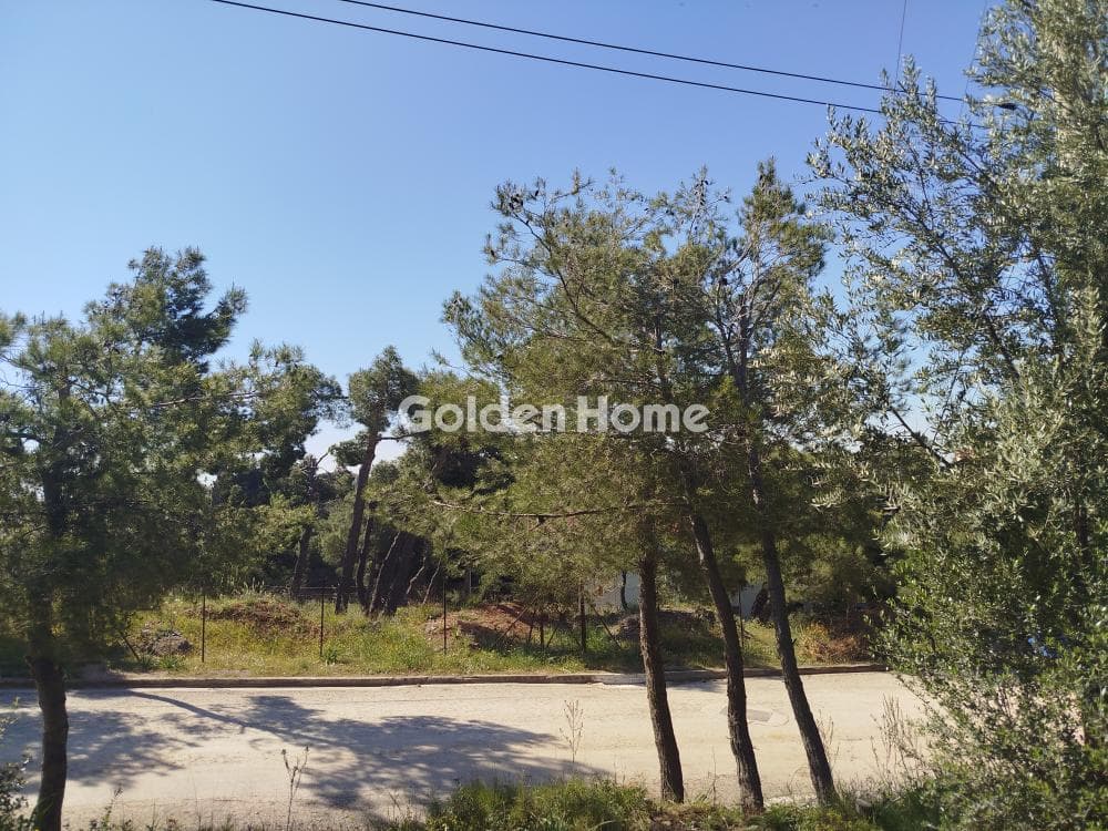 Building Plot in Dioni, Pikermi — Photo 6 of 9