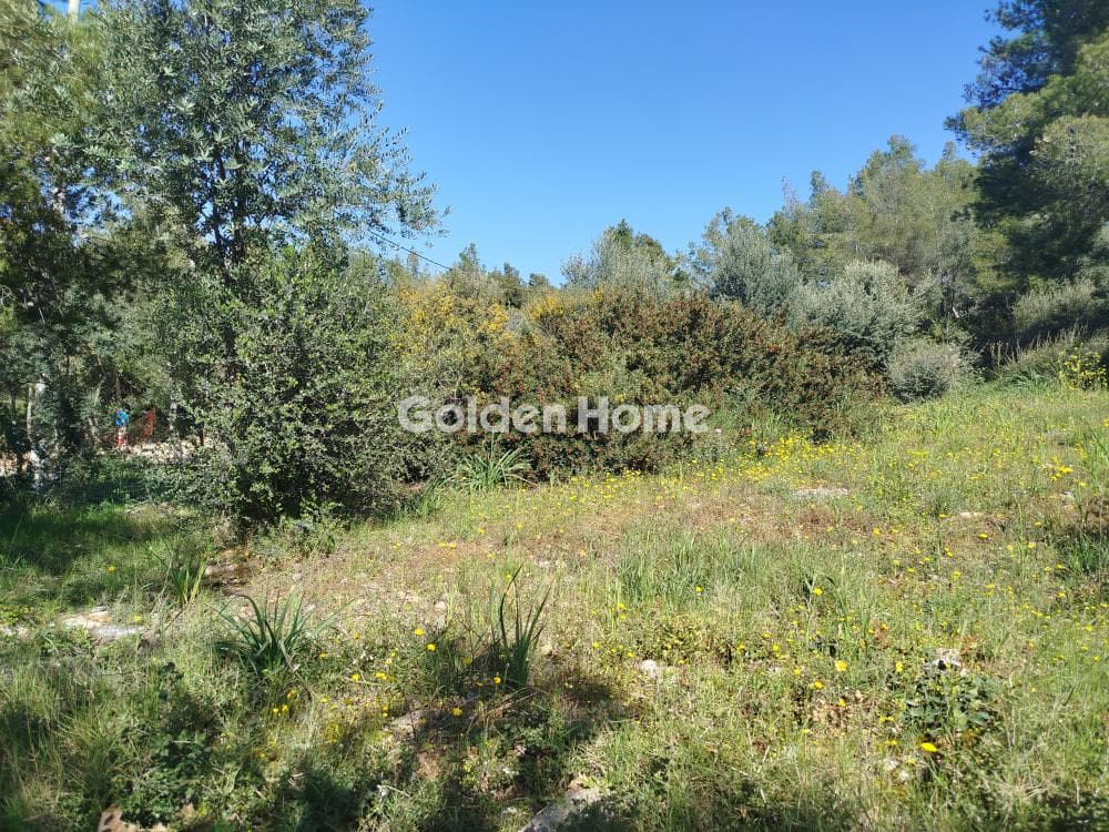 Building Plot in Dioni, Pikermi — Photo 4 of 9