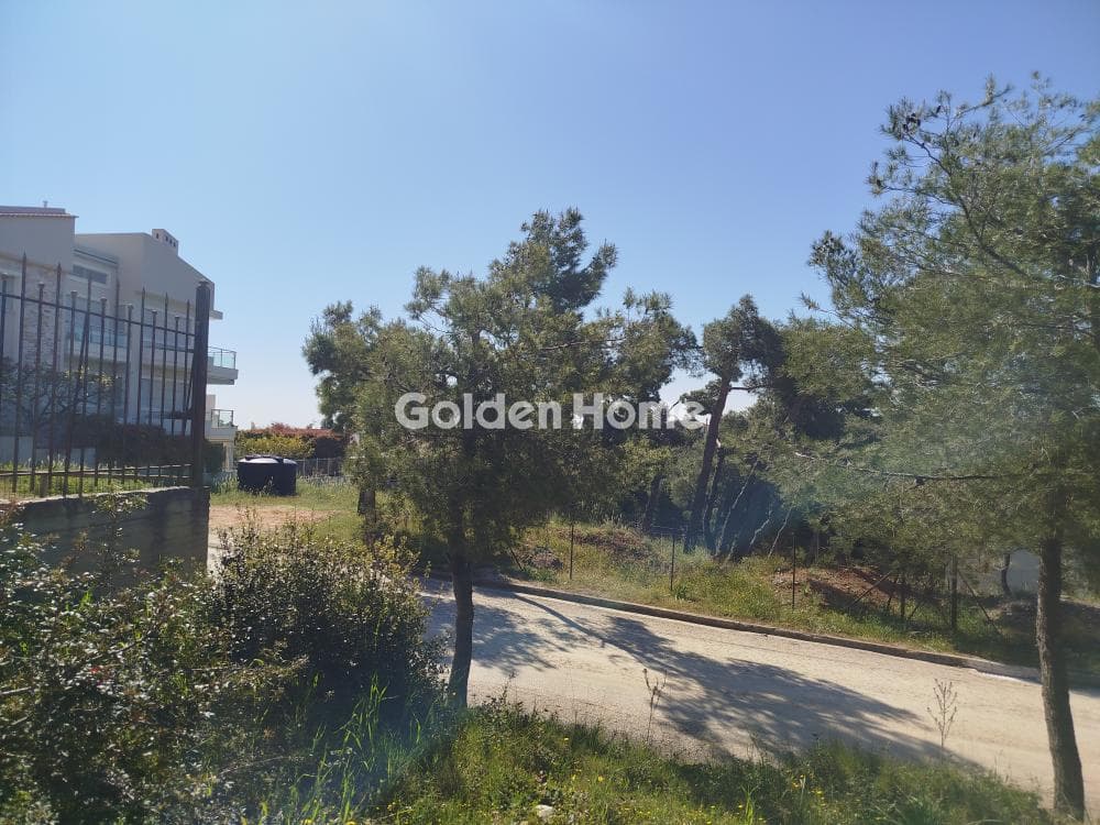 Building Plot in Dioni, Pikermi — Photo 7 of 9