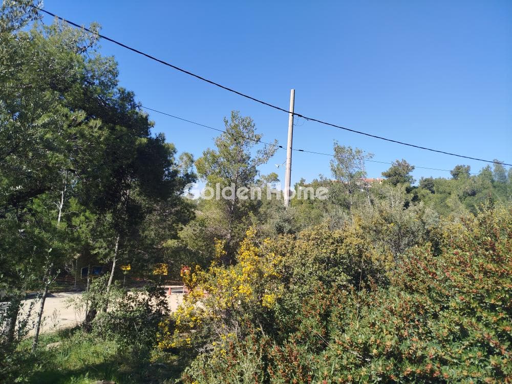 Building Plot in Dioni, Pikermi — Photo 9 of 9