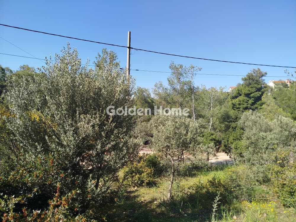 Building Plot in Dioni, Pikermi — Photo 8 of 9
