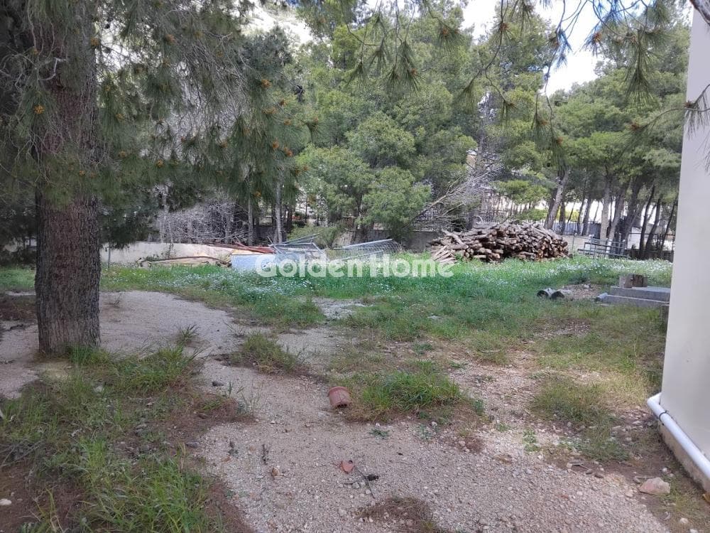 Μονοκατοικία στην Μεγάλα Σχοινία Α, Αχαρνές — Φωτογραφία 36 από 36