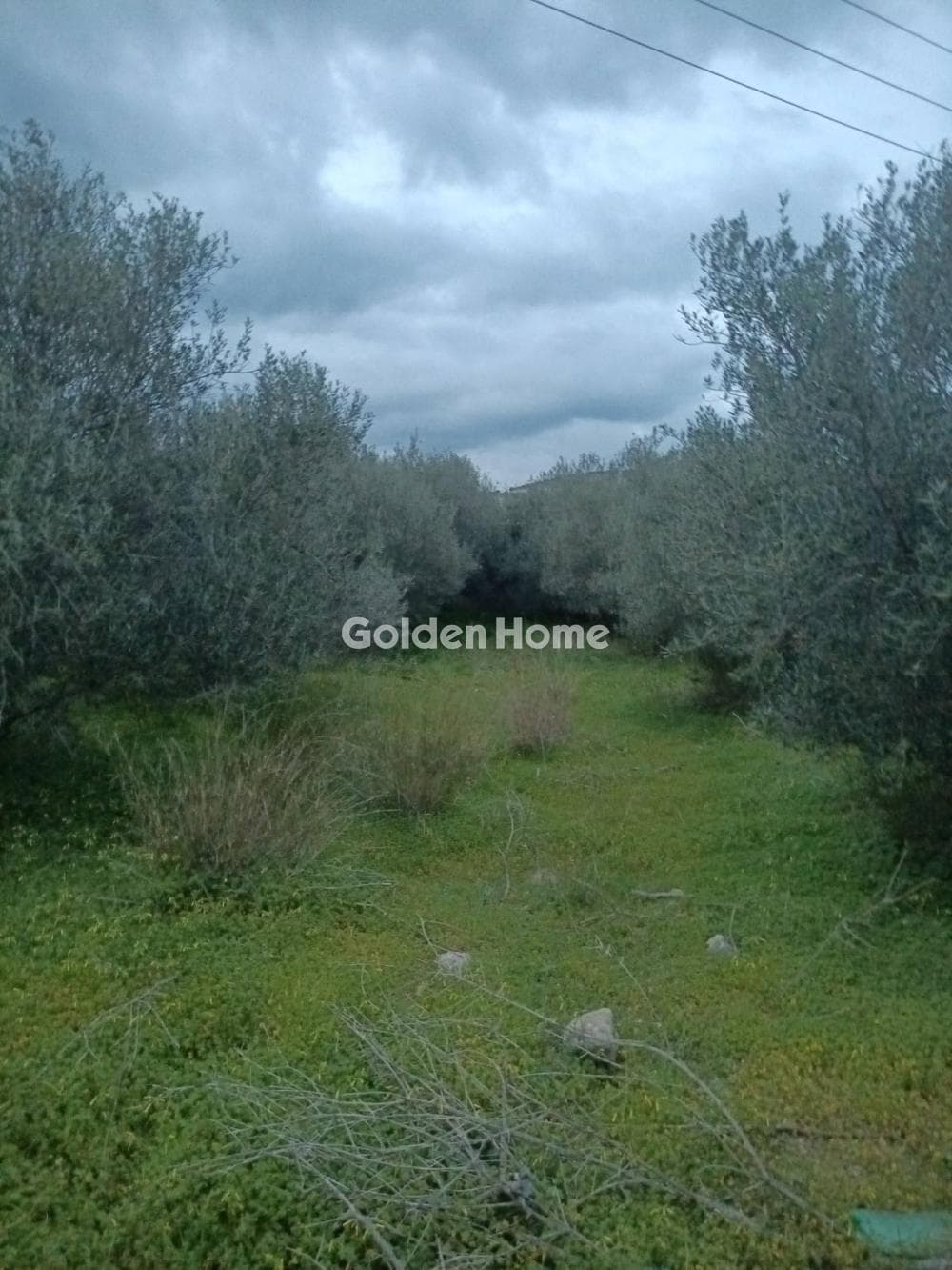 Building Plot in Kappariana, Moires — Photo 1 of 5