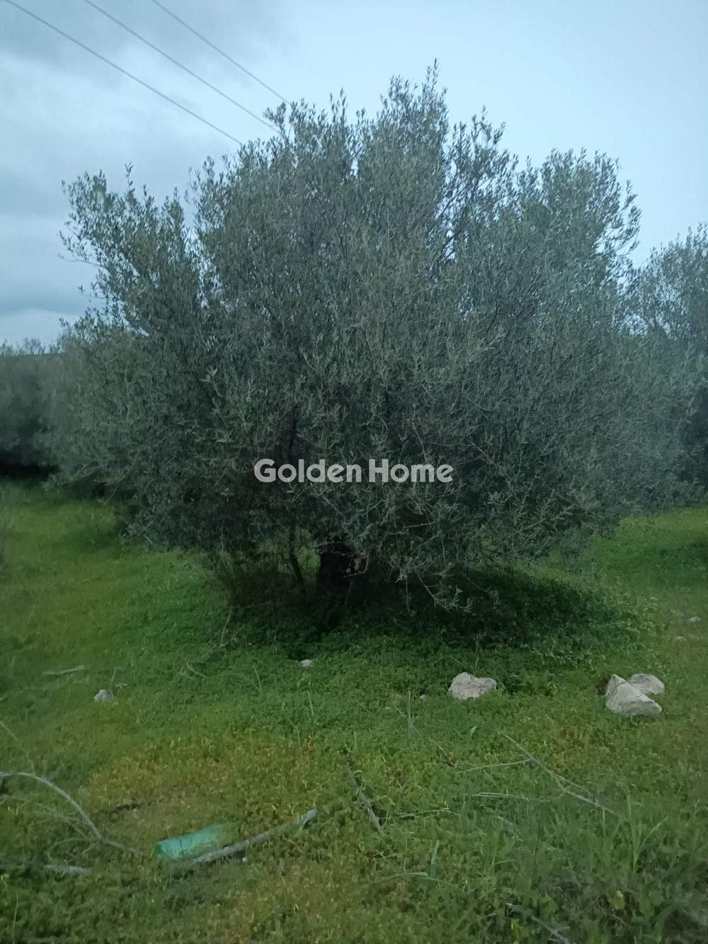 Building Plot in Kappariana, Moires — Photo 2 of 5