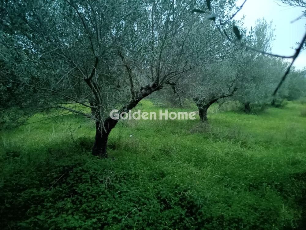 Building Plot in Kappariana, Moires — Photo 3 of 5