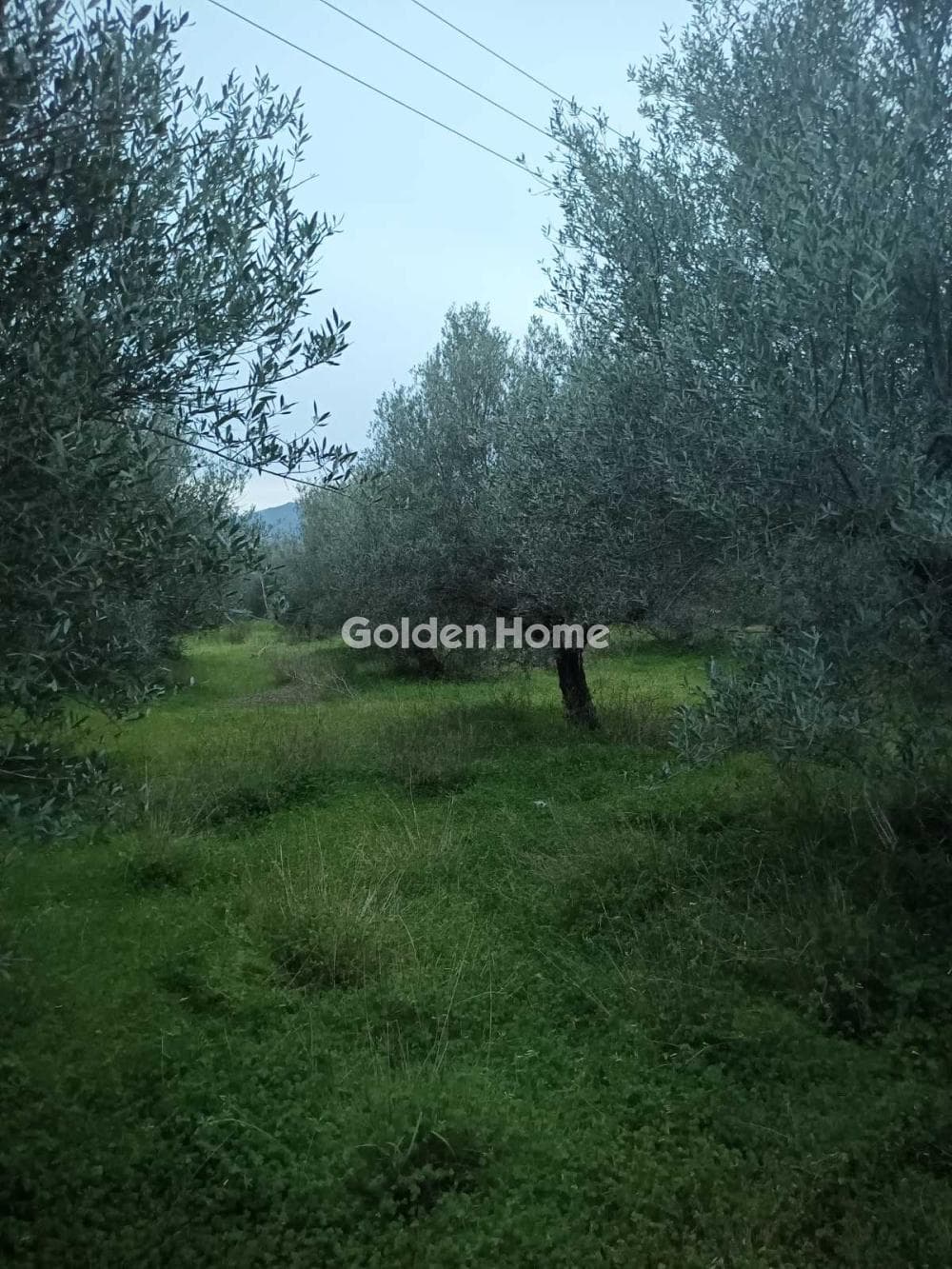 Building Plot in Kappariana, Moires — Photo 4 of 5