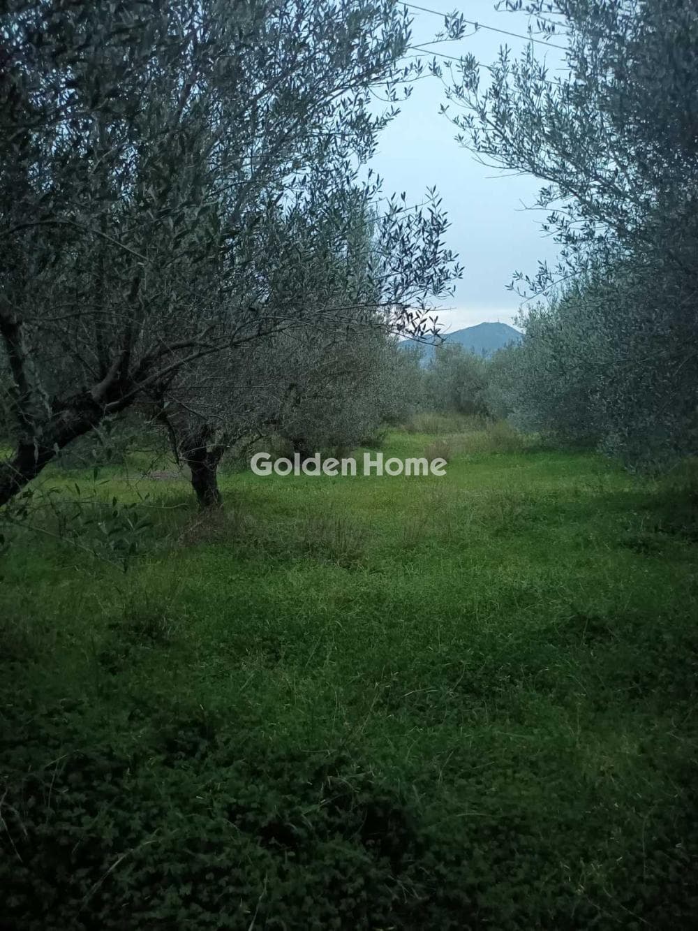 Building Plot in Kappariana, Moires — Photo 5 of 5