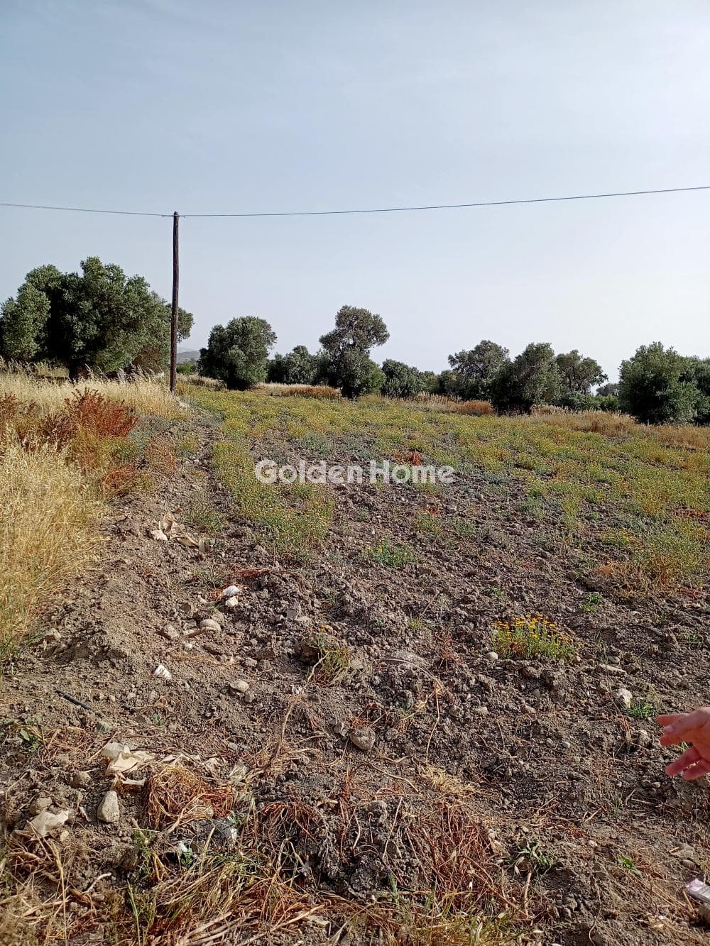Building Plot in Agia Pelagia, Gazi — Photo 1 of 5