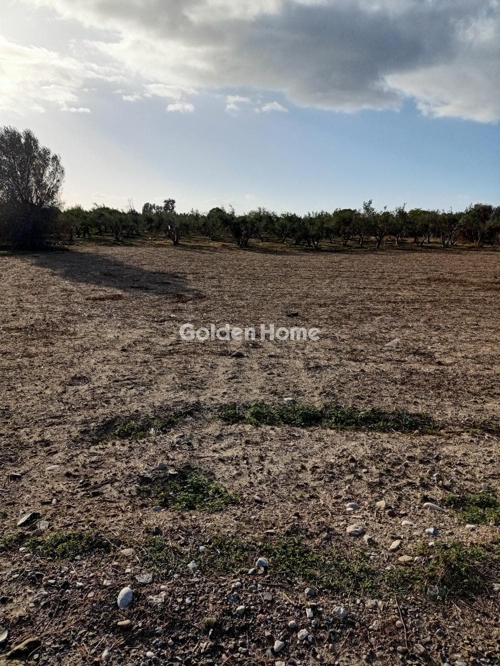 Building Plot in Agia Pelagia, Gazi — Photo 2 of 5