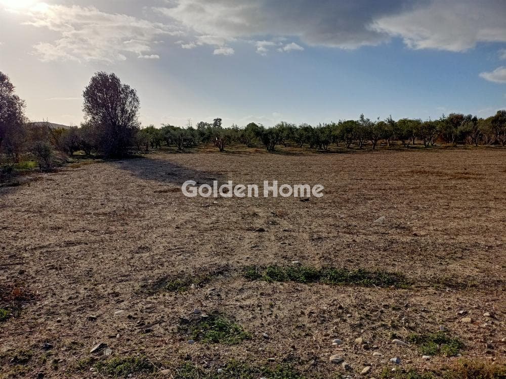 Building Plot in Agia Pelagia, Gazi — Photo 4 of 5