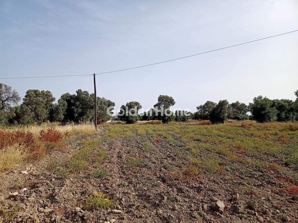 Building Plot in Agia Pelagia, Gazi — Photo 5 of 5