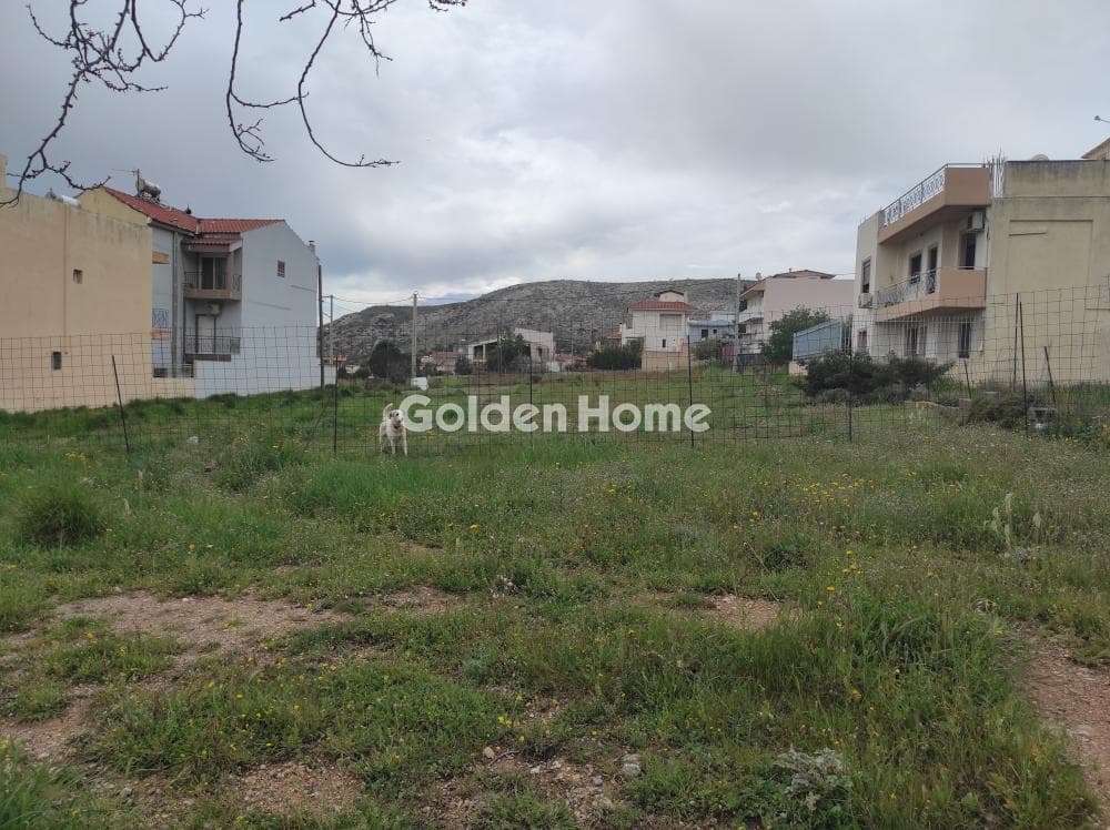 Οικόπεδο στην Πανόραμα, Άνω Λιόσια — Φωτογραφία 2 από 5