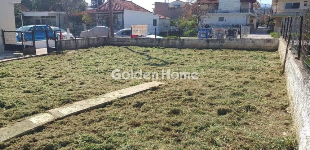 Μονοκατοικία στην Κάτω Διμηνιό, Σικυώνα — Φωτογραφία 8 από 8