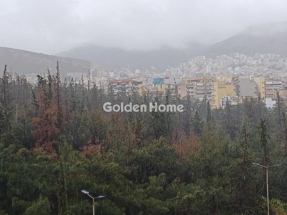 Διαμέρισμα στην Ευαγγελίστρια, Νίκαια — Φωτογραφία 41 από 46