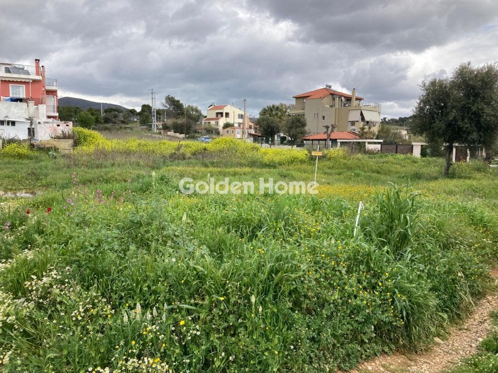 Αγροτεμάχιο στην Κέντρο, Γέρακας — Φωτογραφία 2 από 2