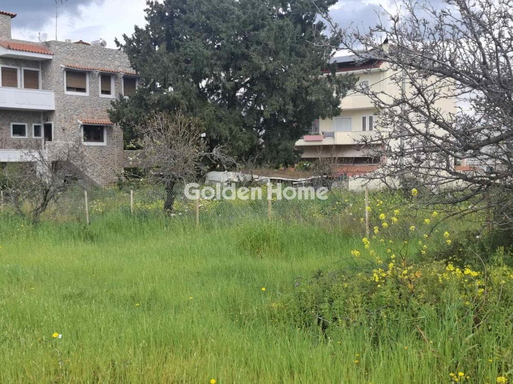 Οικόπεδο στην Αγία Παρασκευή, Σαλαμίνα — Φωτογραφία 3 από 4