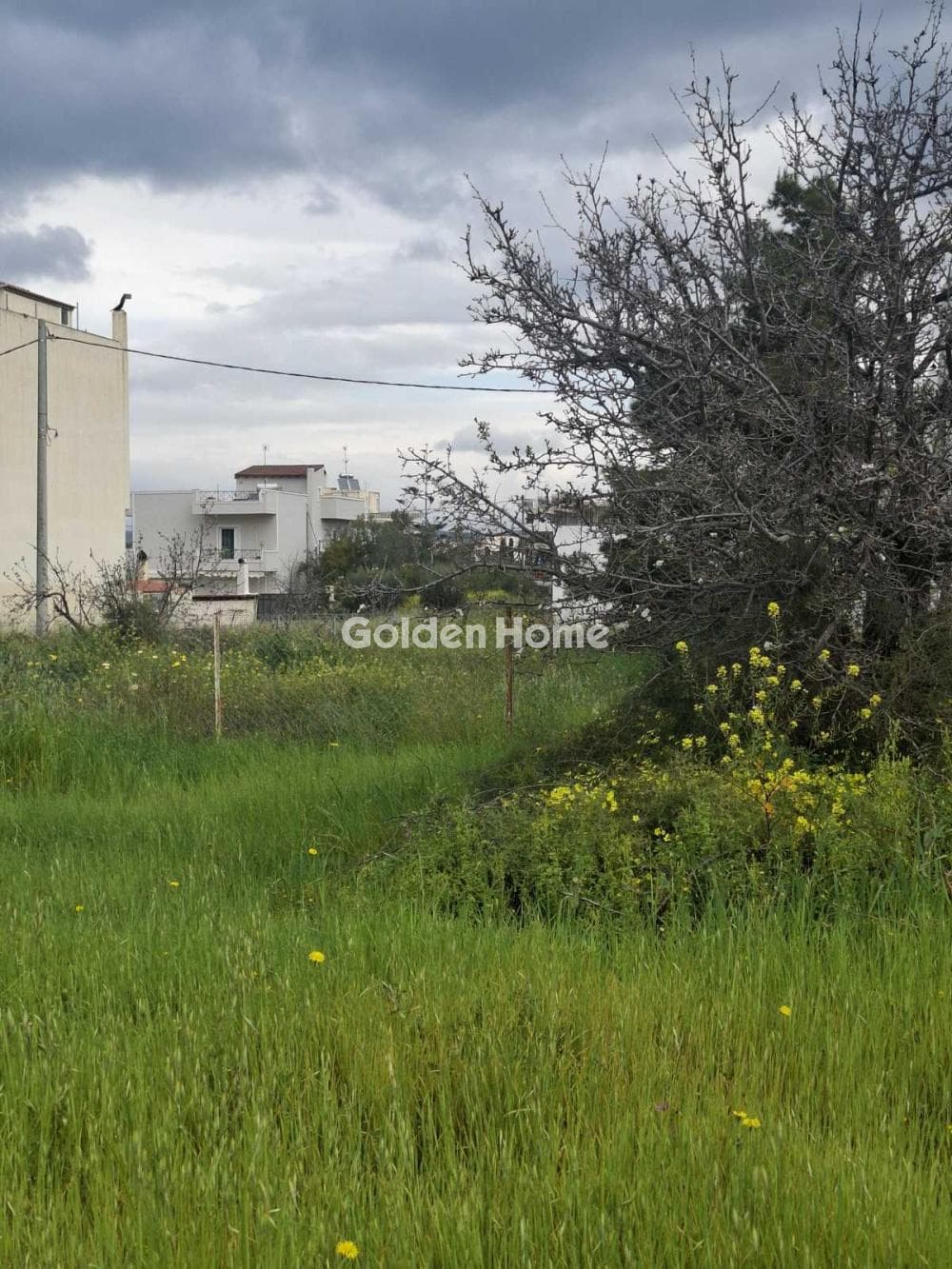 Οικόπεδο στην Αγία Παρασκευή, Σαλαμίνα — Φωτογραφία 4 από 4