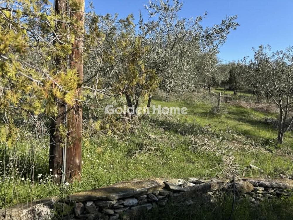 Μονοκατοικία στην Κέντρο, Μηλιές — Φωτογραφία 8 από 15