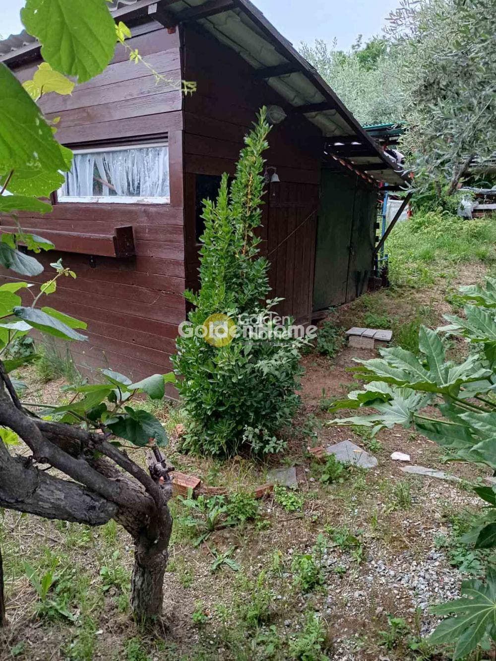 Μονοκατοικία στην Κέντρο, Μηλιές — Φωτογραφία 6 από 15