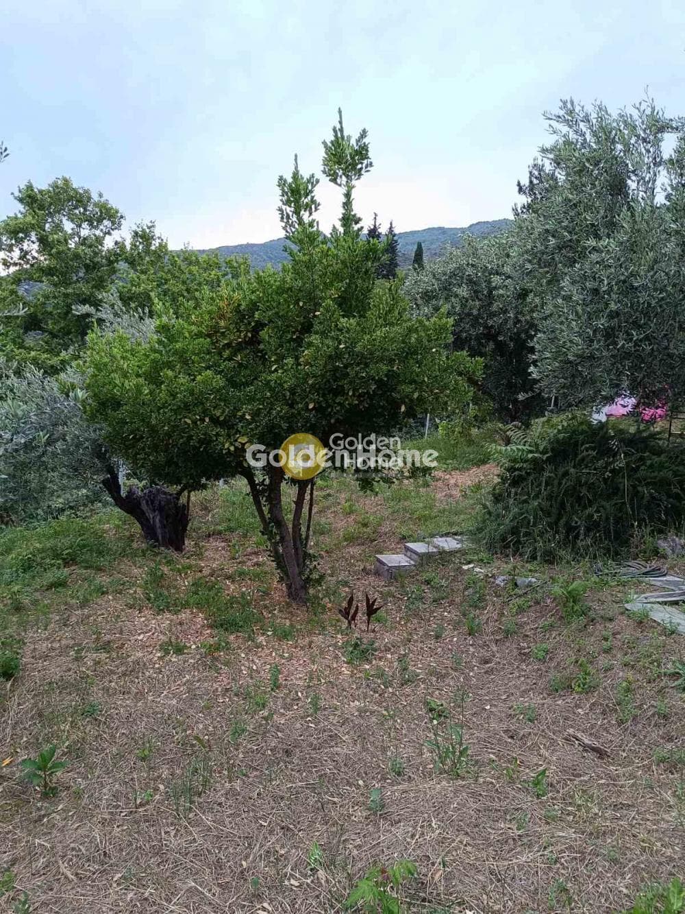 Μονοκατοικία στην Κέντρο, Μηλιές — Φωτογραφία 11 από 15