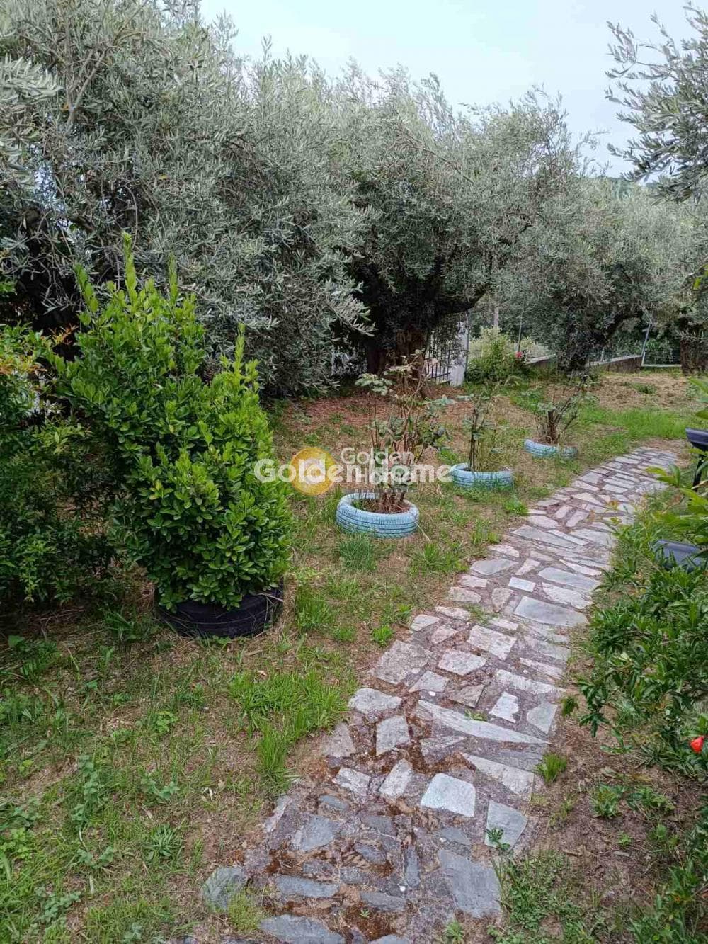 Μονοκατοικία στην Κέντρο, Μηλιές — Φωτογραφία 12 από 15