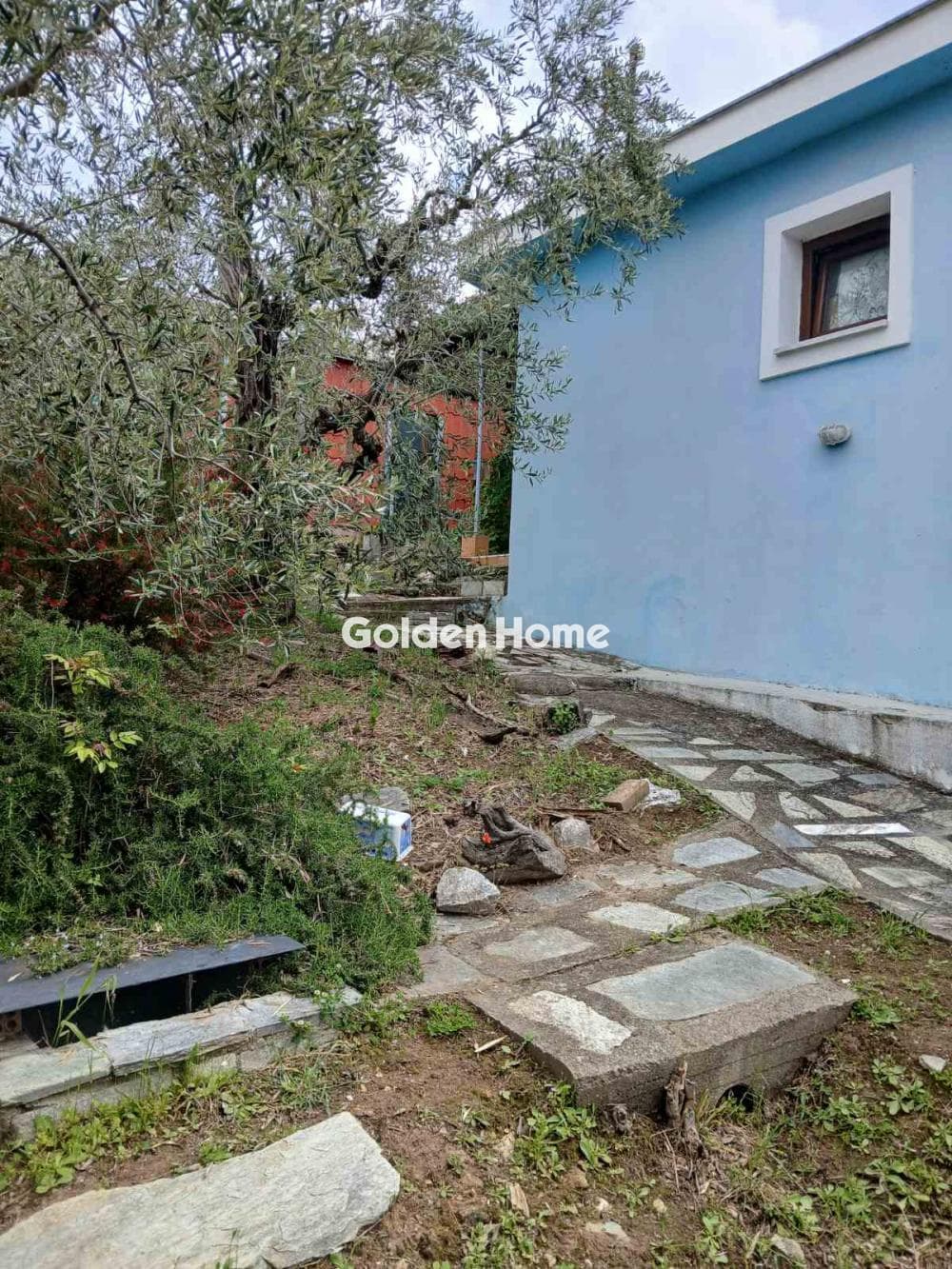 Μονοκατοικία στην Κέντρο, Μηλιές — Φωτογραφία 2 από 15