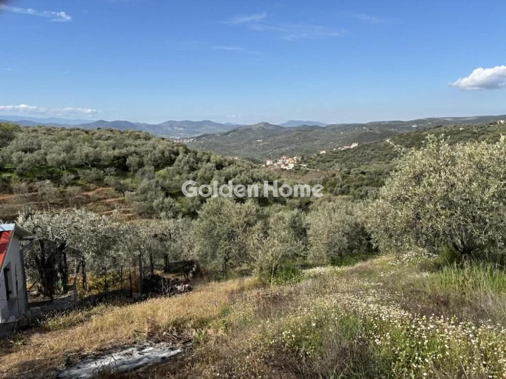 Μονοκατοικία στην Κέντρο, Μηλιές — Φωτογραφία 14 από 15