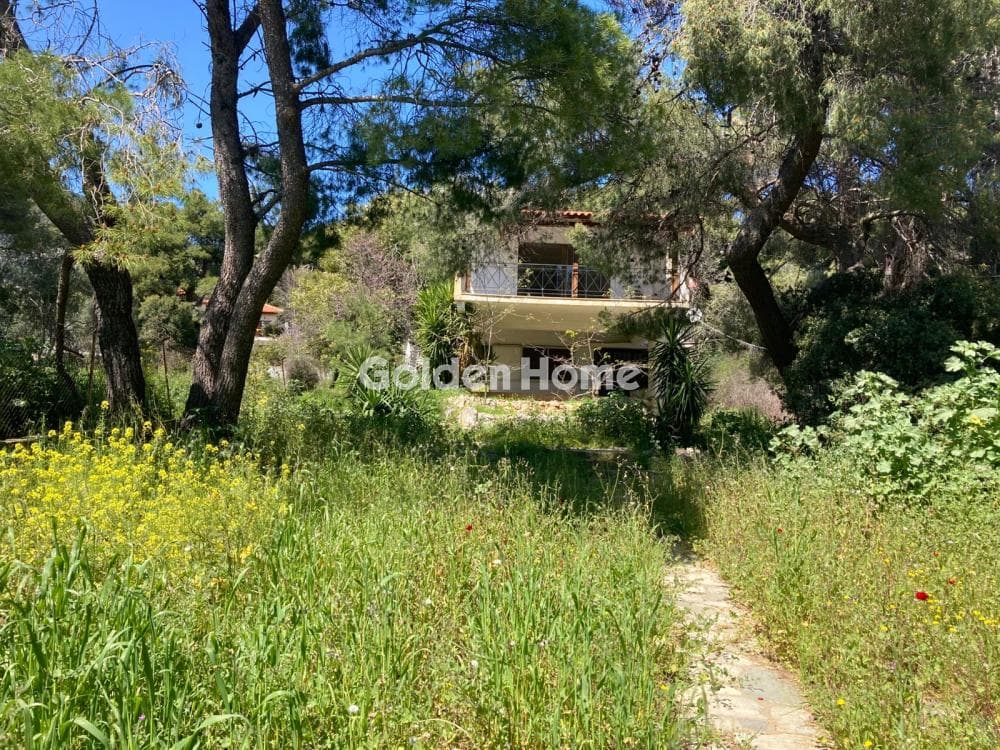 Οικόπεδο στην Μεγάλα Σχοινία Α, Αχαρνές — Φωτογραφία 2 από 2